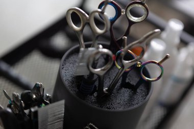 Hayvanları yetiştirmek için profesyonel aletler. Makas, fırça, tarak, makas. Hayvan bakımı konsepti. Köpekler ve kediler için aletler. Sığ DOF.