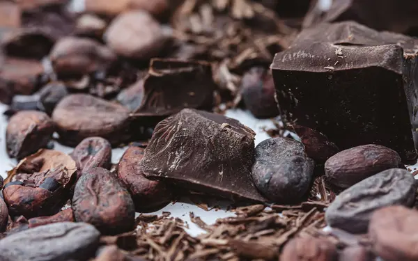 白い背景にチョコレートが入ったココア豆 シャルロウ ドーフ トップビュー — ストック写真