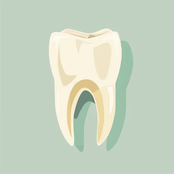 Здоровий Зуб Проста Ілюстрація — стоковий вектор