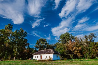 Traditional rural house with a thatched roof is nestled in a peaceful countryside surrounded by trees and greenery. clipart