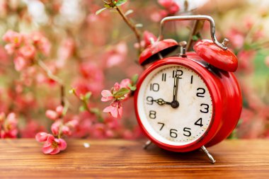 Pink flowers and retro red alarm clock. Spring forward, springtime or daylight savings time background.