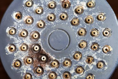 Siyah küf, kireç ve kireçlenmiş kirli duş başlığı. Banyoda sert su var. Yakın plan.. 