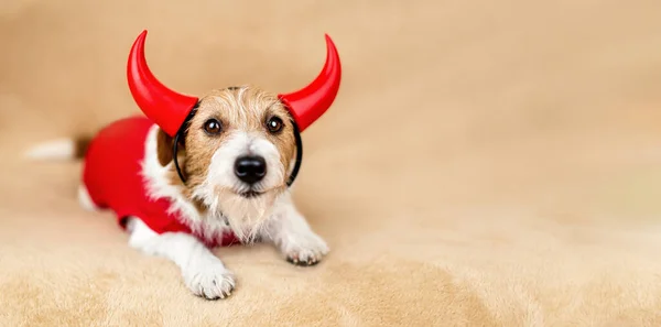Banner of a funny pet dog as wearing spooky halloween party red devil costume
