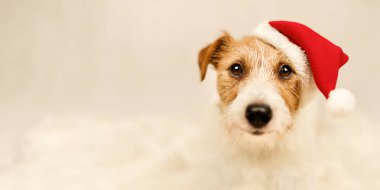 Mutlu Noeller Noel Baba Köpeği, yeni yıl tebrik kartı geçmişi ya da fotokopi alanı olan afiş.