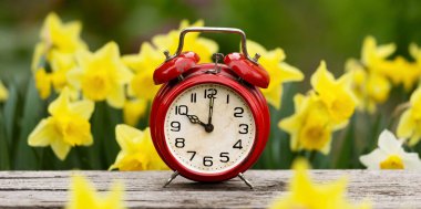 Baharda nergis çiçekli çalar saat. Bahar ileri, bahar ya da yaz saati tasarrufu zaman arkaplanı.