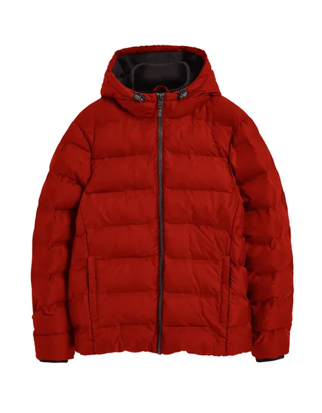 冬季红夹克被白色隔离 种植途径包括 — 图库照片