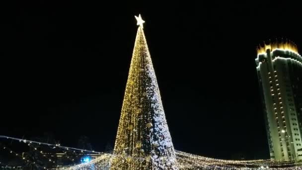 Main Christmas Tree Square Palace Republic Almaty City Kazakhstan — Video Stock
