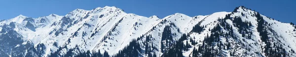 Panoramisch Uitzicht Besneeuwde Bergen Almaty Stad Skigebied Shymbulak Kazachstan — Stockfoto