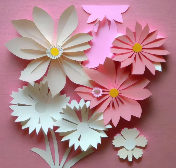 stock image Paper flowers cut out of colored paper.