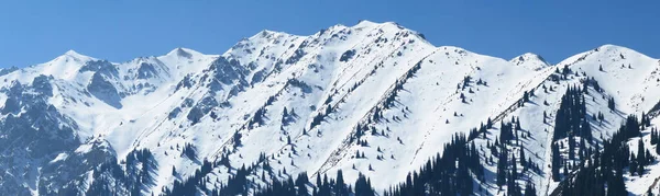 Πανοραμική Θέα Των Χιονισμένων Βουνών Στην Πόλη Almaty Shymbulak Ski — Φωτογραφία Αρχείου