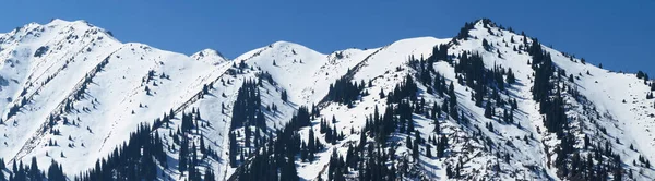 Panoramiczny Widok Śnieżne Góry Mieście Almaty Ośrodek Narciarski Shymbulak Kazachstan — Zdjęcie stockowe