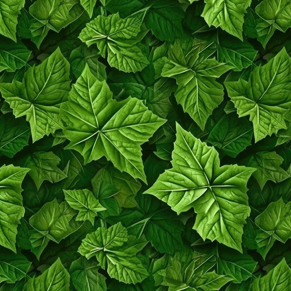 Bitmap Texture Green Vine Leaves Tessellation — Stock Photo, Image