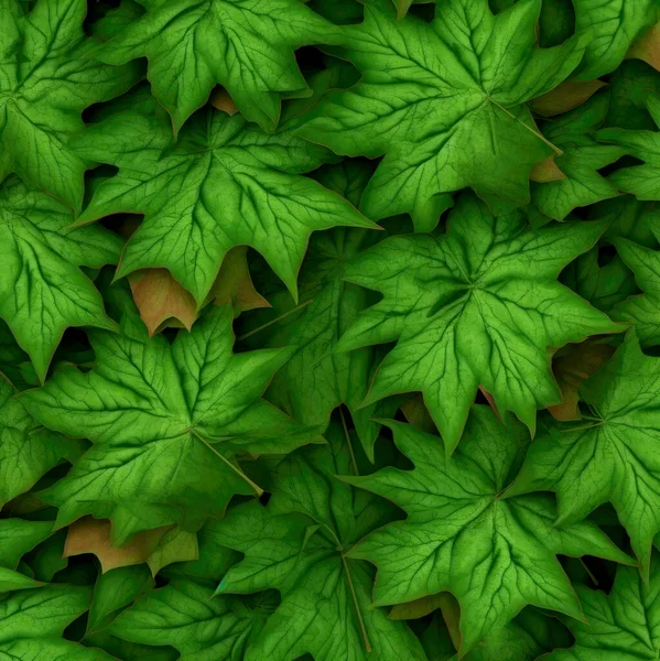 Akçaağaç Yapraklarının Bitmap Dokusu Tessellasyon — Stok fotoğraf