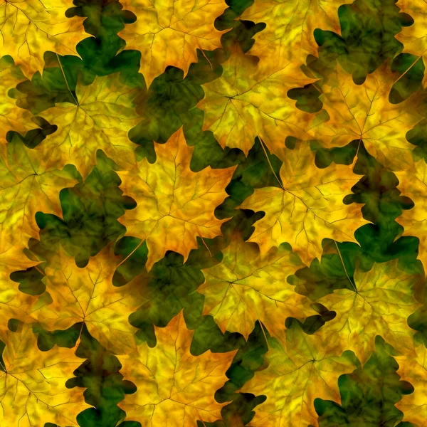 Bitmap Texture Maple Leaves Tessellation — Stock Photo, Image