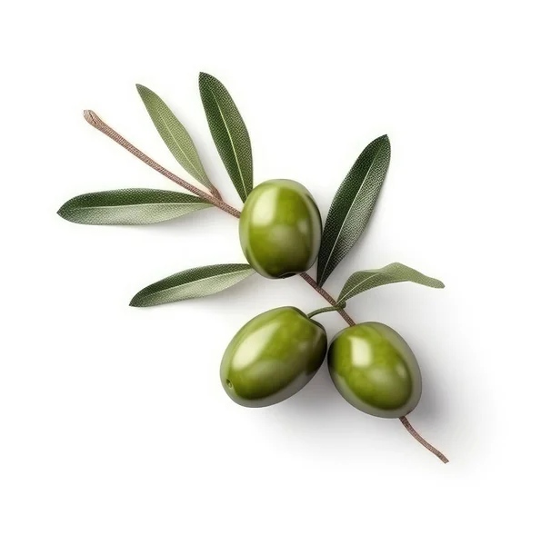 Ramoscello Ulivo Fresco Con Diverse Olive Verdi Esso Isolato Sfondo — Foto Stock