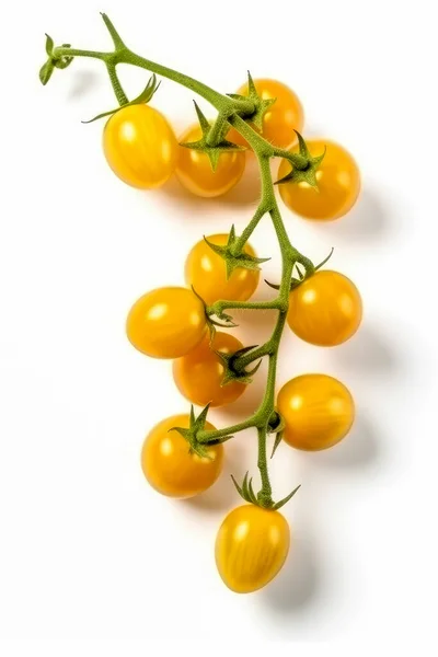 Gul Körsbär Tomater Kvist Isolerad Vit Bakgrund Ovanifrån — Stockfoto