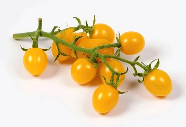 Żółte Pomidory Wiśniowe Gałązce Izolowane Białym Tle Widok Góry — Zdjęcie stockowe