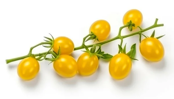 Żółte Pomidory Wiśniowe Gałązce Izolowane Białym Tle Widok Góry — Zdjęcie stockowe