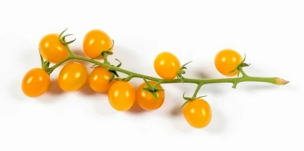 枝条上的黄色樱桃西红柿 白色背景隔离 顶部观景 — 图库照片