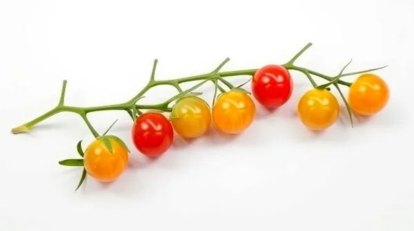 红色和黄色的樱桃西红柿在枝条上 白色的背景隔离 顶部视图 — 图库照片