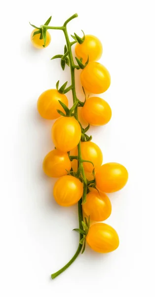 Tomates Cereja Amarelos Galho Isolado Fundo Branco Vista Superior — Fotografia de Stock