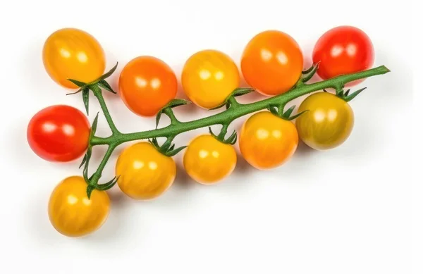 红色和黄色的樱桃西红柿在枝条上 白色的背景隔离 顶部视图 — 图库照片