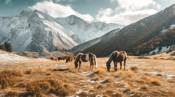 Paarden Een Weiland Bij Bergen Kazachstan Rechtenvrije Stockafbeeldingen