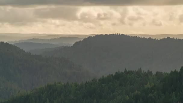 雾和云彩吹过森林覆盖的山丘 白日流逝 — 图库视频影像