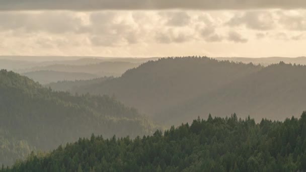 Mlha Mraky Foukají Přes Zalesněné Kopce Denní Doba — Stock video