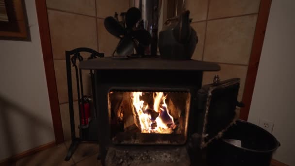 Широкий Вигляд Дерев Яну Плиту Вентилятором Залізним Чайником Вогонь Повільному — стокове відео