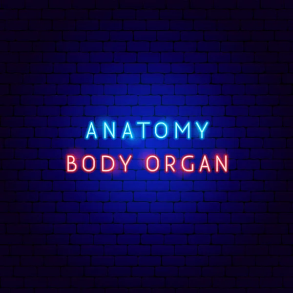 Anatomia Corpo Neon Testo Illustrazione Vettoriale Oggetti Medici Salute Umana — Vettoriale Stock
