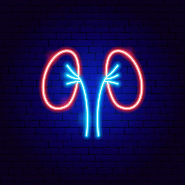 stock vector Kidneys Neon Sign. Vector Illustration of Medical Human Health Objects.