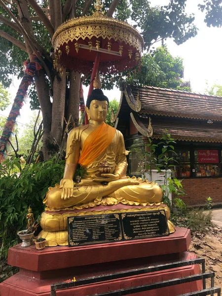 Guldbuddha Statyn Bild Thailandresan Kultur Och Religion — Stockfoto