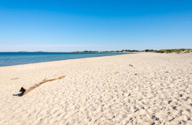A wooden log on a long strip of Solastranden white sand beach, Stavanger, Norway, May 2018