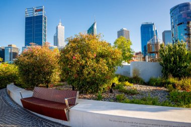 Elizabeth Quay, Perth, Avustralya, Ocak 2020 'de Bench ve Modern Şehir Gökdelenlerine bitişik Yeşillik ile Şehir Parkı