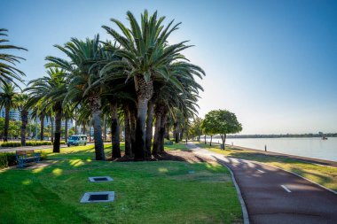 Palm Trees ve Walking Path ile Picturesque Riverfront Park, Perth, Avustralya, Ocak 2020