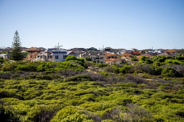 Iluka, Perth, Avustralya 'da Açık Mavi Gök Altında Evleri ve Yeşil Bitkileri Olan Varoş Mahallesi, Mart 2020
