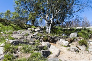 Güneşli bir yaz gününde Dalsnuten Yürüyüş Yolu 'nda Idyllic Stone Steps, Sandnes, Norveç, Haziran 2018