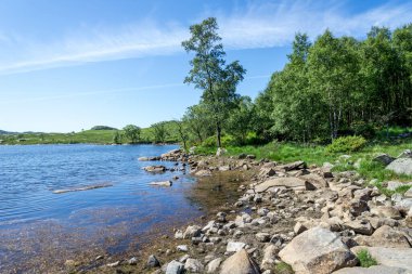 Dalsnuten Trail, Sandnes, Norveç, Haziran 2018 'de Rocky Shoreline ve Lush Green Forest ile birlikte
