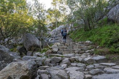 Yürüyüşçüler Rocky Ormanına Gidiyor Preikestolen, Stavanger, Norveç, Temmuz 2018