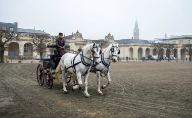 Danimarka, Kopenhag 'daki Christiansborg Sarayı' nın bitişiğindeki Açık Zemin Avlusu 'nda İki Beyaz At Klasik Vintage At Arabası Çekiyor, 16 Nisan 2018