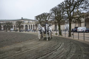 Kopenhag 'daki Christiansborg Sarayı' nın önünde 16 Nisan 2018 'de eski bir at arabasıyla gezintiye çıkarılan güzel beyaz atlar.