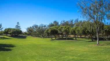 Açık Mavi Gök Altında Ağaçlarla Bengello Parkı 'ndan Canlı Yeşil Parkland, Burns Sahili, Batı Avustralya, 11 Nisan 2020