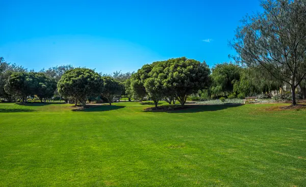 Bengello Park Peyzajı Çimen, Ağaçlar ve Güneşli Mavi Gökyüzü, Burns Sahili, Batı Avustralya, 11 Nisan 2020