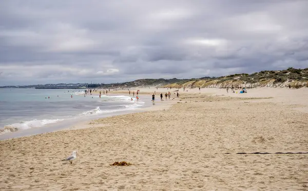 Kalabalık Mullaloo Sahnesi ve Martı Bulutlu Bir Gün, Perth, Avustralya, 12 Nisan 2020