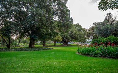 Hyde Park, Perth, Avustralya, 12 Nisan 2020 'de Bereketli Ağaçlar ve Renkli Çiçek Yatakları