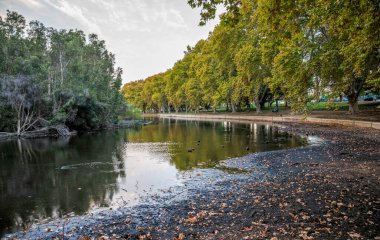 Hyde Park, Perth, Avustralya 'da sakin bir sonbahar gününde Ağaçlar ve Doğa tarafından çevrelenmiş Ördeklerle Manzaralı Göl Manzarası, 12 Nisan 2020