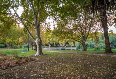 Hyde Park Manzarası Sonbahar Ağaçları Yapraklarını Kaybediyor ve Sessiz Yürüyüş Yolu, Perth, Avustralya, 12 Nisan 2020