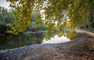 Hyde Park, Perth, Avustralya, 12 Nisan 2020 'de Manzaralı Yansıtıcı Göl Manzarası