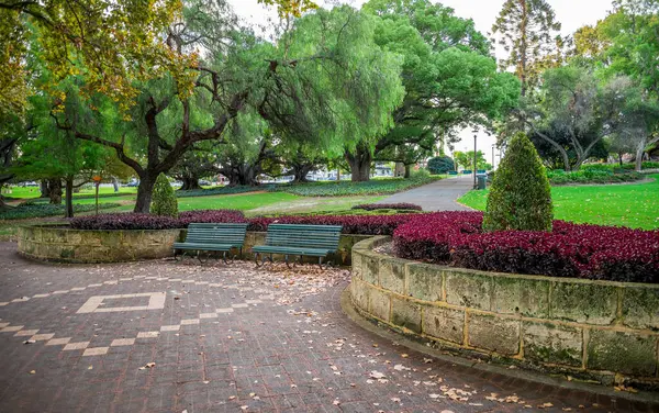 Huzurlu Hyde Park Sahnesi Benches, Lush Trees ve Dekoratif Peyzaj, Perth, Avustralya, 12 Nisan 2020